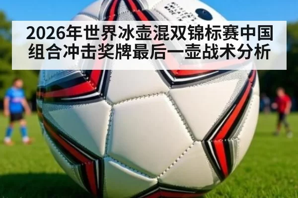 2026年世界冰壶混双锦标赛中国组合冲击奖牌最后一壶战术分析